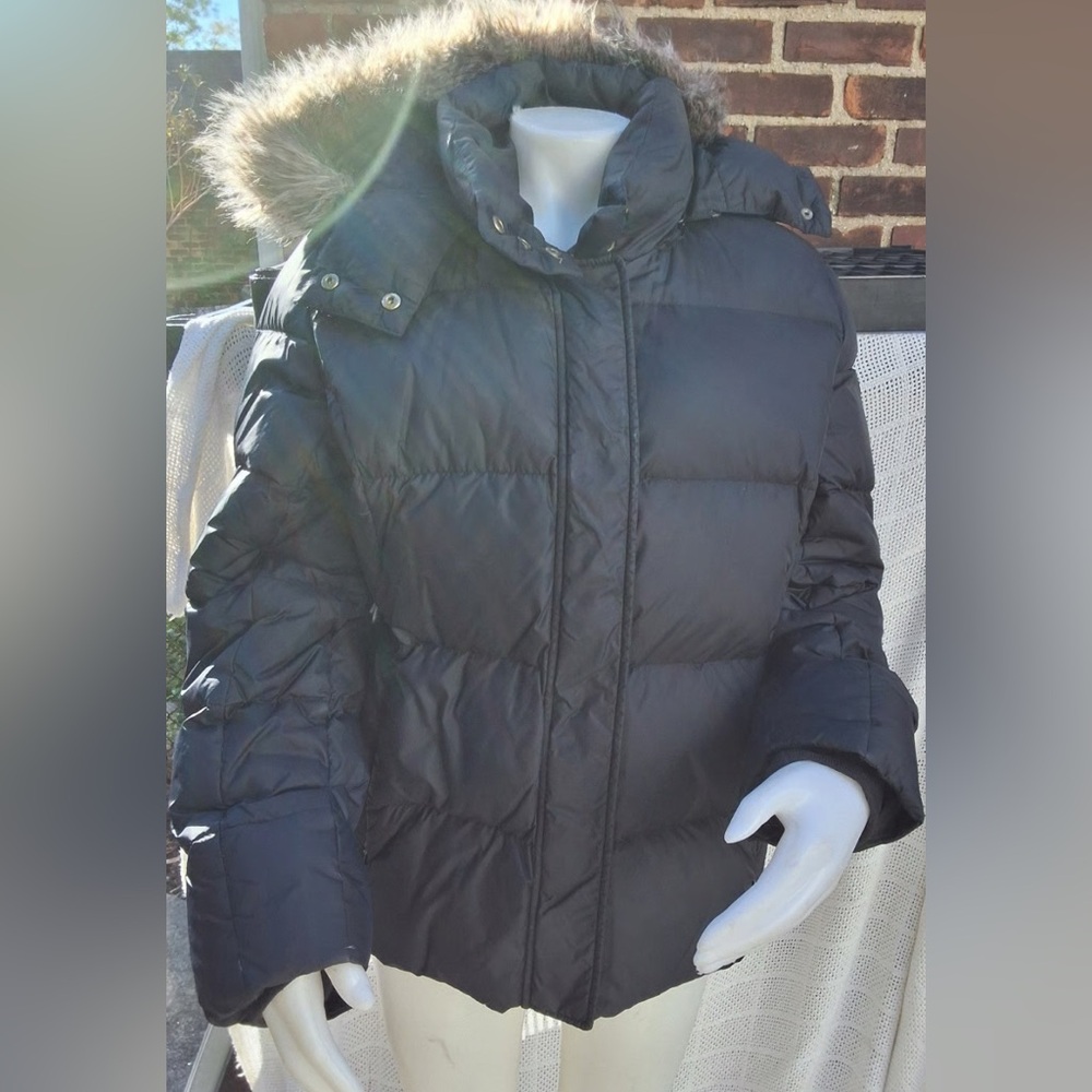 Tommy Hilfiger down Black Puffer Jacket with removable hood